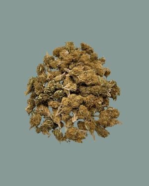 Small Buds Lemon Low Cost