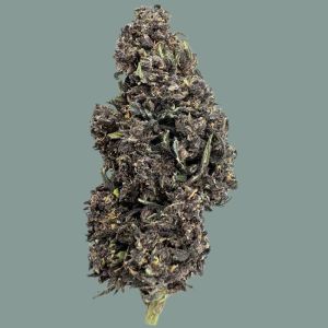 venda flores CBD HHC CBG dos melhores produtores Europeus de produtos cannabis sem intermediários onde podes comprar flores Purple Haze CBD cultivo Indoor