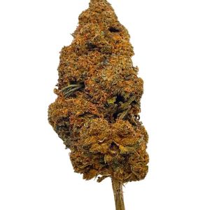 venda flores HHC comprar ao melhor preço flores HHC THCP melhor qualidade HHC legal em Portugal Portimão Praia da Rocha Alvor Ferragudo Carvoeiro Algarve 1